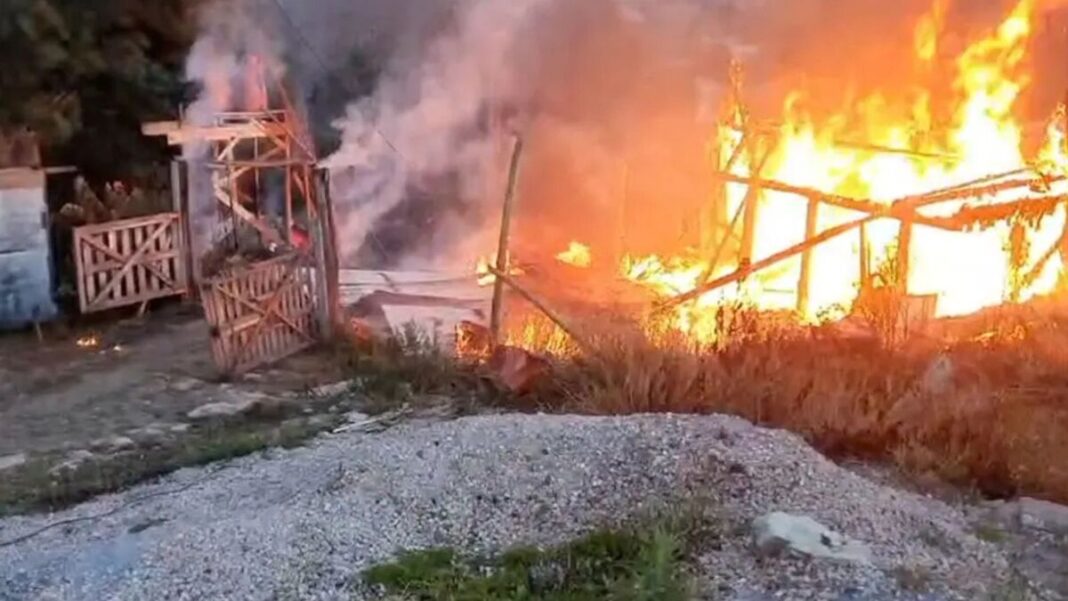 Sete animais de estimação morrem carbonizados durante incêndio no PR