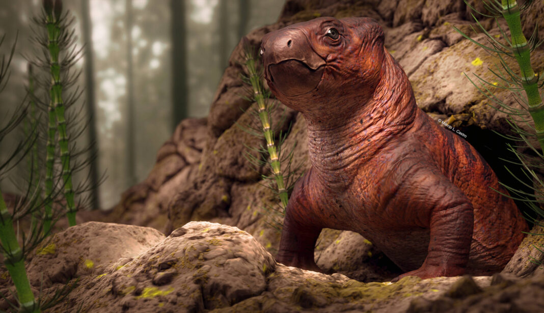 A imagem mostra um réptil pré-histórico, com corpo robusto e pele marrom avermelhada, emergindo de uma caverna em um ambiente florestal. O fundo é composto por árvores e vegetação densa, com um foco em detalhes como pedras e plantas ao redor do animal. O réptil tem uma expressão curiosa e está posicionado em uma rocha, sugerindo um habitat natural.