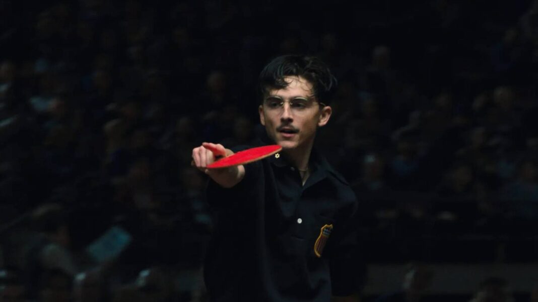 Brasileiros são loucos no bom sentido, diz Timothée Chalamet na CCXP