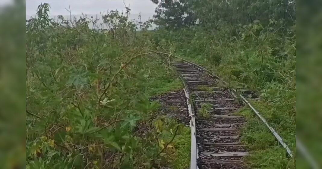 Corpo com ferimentos é achado na divisa Londrina-Ibiporã