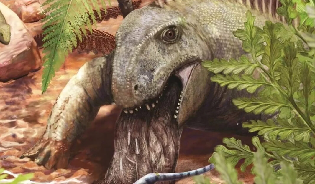 Vômito mais antigo do mundo revela animal de dieta oportunista