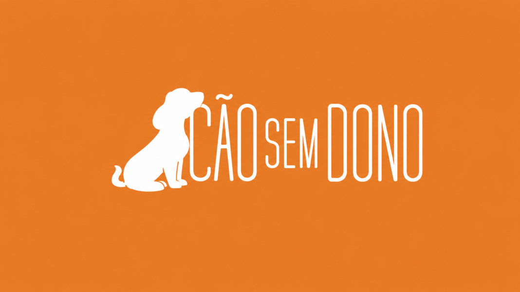 Rafael Miranda ONG Cão sem dono