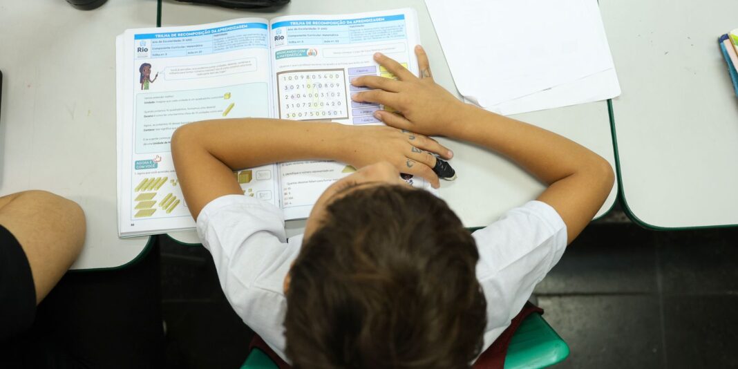 Censo Escolar: resultado preliminar está disponível no site do Inep
